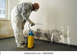 Best Mold Prevention Services  in Nanakuli, HI